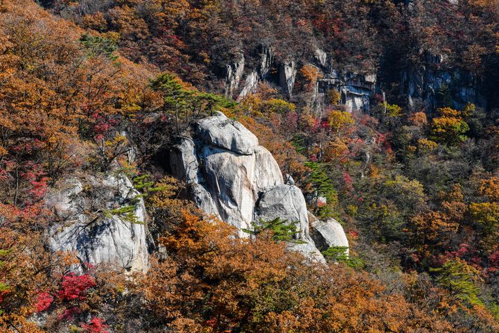 [포천=뉴시스] 단풍으로 물든 운악산 전경. (사진=포천시 제공) 2026.10.19. photo@newsis.com *재판매 및 DB 금지