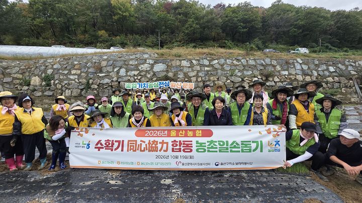 [울산=뉴시스] 울산농협은 19일 농협퇴직동인회, 자원봉사센터, 보라미봉사단 등과 함께 합동 농촌일손 돕기를 진행해 농가의 시름를 덜어줬다. (사진=울산농협 제공) 2026.10.19. photo@newsis.com *재판매 및 DB 금지