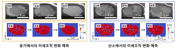 [포항=뉴시스] 포스텍 친환경소재학과 김경덕 교수 연구팀과 강원대 배터리융합공학과 김영진 교수 연구팀, 포스코홀딩스, 인도공대 봄베이 연구진이 양극재를 구울 때 산소 농도로 배터리 수명을 늘리는 방법을 찾았다. 사진은 공기(주황)에서 빠르게 단결정으로 합쳐지고, 산소(파랑)에서 성장이 억제되는 양극재 입자의 실험·시뮬레이션 비교 모식도. (사진=포스텍 제공) 2026.10.19. photo@newsis.com