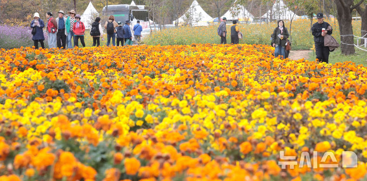 [인천=뉴시스] 전진환 기자 = 2026 드림파크 국화축제가 열리고 있는 19일 인천 서해구 드림파크 야생화단지를 찾은 시민들이 다양한 색상의 국화를 감상하고 있다. 2026.10.19. amin2@newsis.com