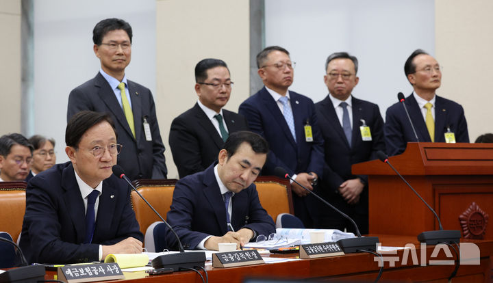[서울=뉴시스] 고범준 기자 = 이찬진 금융감독원장이 19일 서울 여의도 국회에서 열린 정무위원회 국정감사(금융감독원 등)에서 의원 질의에 답변하고 있다.뒷쪽 왼쪽부터 강태영(왼쪽부터) NH농협은행장, 정상혁 신한은행장, 이호성 하나은행장, 정진완 우리은행장, 이환주 KB국민은행장. 2026.10.19. bjko@newsis.com