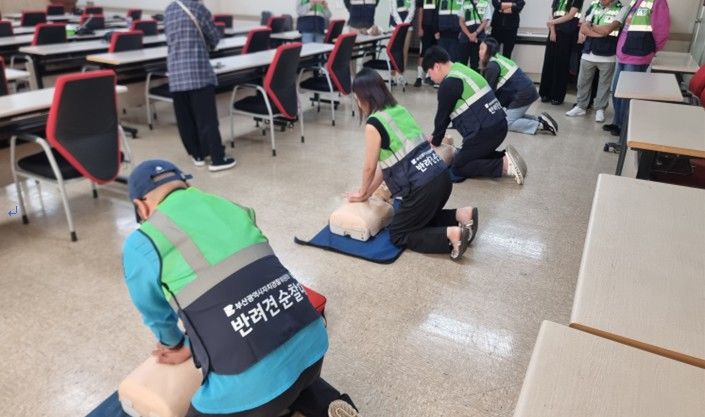 [부산=뉴시스] 부산시 자치경찰위원회는 반려견 순찰대원들에 응급처치(CPR) 교육을 진행하고 있다. (사진=부산시 제공) 2026.10.20. photo@newsis.com *재판매 및 DB 금지
