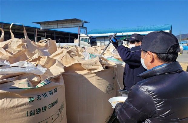 [세종=뉴시스] 공공비축벼 매입 검사 현장. (사진=농림축산식품부 제공) *재판매 및 DB 금지