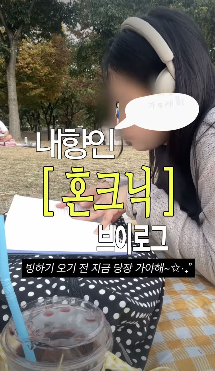 [서울=뉴시스] 사회관계망서비스(SNS)에 올라온 '혼크닉'브이로그. 한 이용자가 공원에 돗자리를 펴고 책을 읽고 있다. (사진출처: SNS 캡처)2026.10.20.