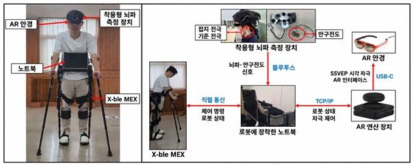 [서울=뉴시스] 한양대와 현대차·기아 로보틱스랩이 함께 제어에 성공한 착용형 보행 로봇 '엑스블 멕스'. (사진=한양대 제공) 2026.10.20. photo@newsis.com *재판매 및 DB 금지