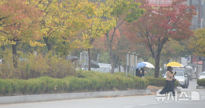 [전주=뉴시스] 김얼 기자 = 선선한 가을비가 내리기 시작한 20일 전북 전주시 효자로에서 시민들이 우산으로 비를 피하며 길을 지나고 있다. 2026.10.20. pmkeul@newsis.com