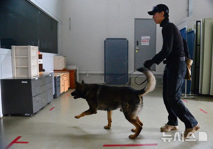 [청주=뉴시스] 서주영 기자 = 충북경찰특공대 탐지견 제이가 지난 19일 훈련장에서 서랍장 속에 숨겨둔 폭발물을 탐지하는 훈련을 하고 있다. 2026.10.21. juyeong@newsis.com *재판매 및 DB 금지