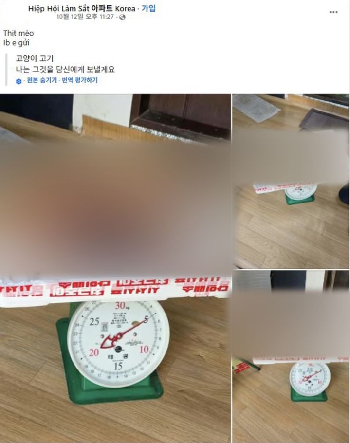 [서울=뉴시스] 지난 12일 페이스북에 고양이글을 판매하는 게시글이 올라왔다. 해당 게시글 속 상자에는 '신선식품', '취급주의' 등 한글이 적힌 포장용 테이프가 둘러져있다. (사진=페이스북 캡처) *재판매 및 DB 금지