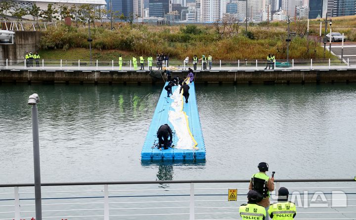 [부산=뉴시스] 하경민 기자 = 해양수산부, 국립해양생물자원관 등 상어 합동구조단이 21일 부산 동구 북항친수공원 수로에서 그물과 부유시설, 잠수사 등을 투입해 흑상어 '부캉이'를 먼바다로 유도하는 작업을 준비하고 있다. 길이 3m에 암컷 흑상어인 부캉이는 지난달 18일 북항친수공원 수로에서 처음 발견된 이후 한달 넘게 머물고 있으며, 그동안 부캉이를 보기 위해 이 곳을 찾은 인파는 160만 명을 돌파했다. 2026.10.21. yulnetphoto@newsis.com
