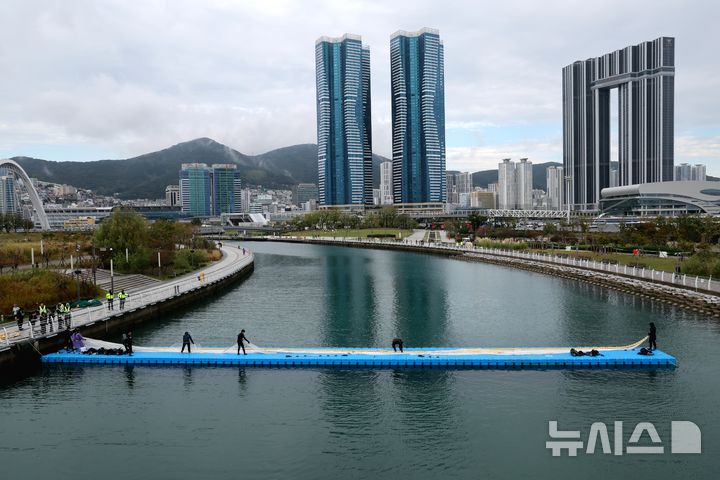 [부산=뉴시스] 하경민 기자 = 해양수산부, 국립해양생물자원관 등 상어 합동구조단이 21일 부산 동구 북항친수공원 수로에서 그물과 부유시설, 잠수사 등을 투입해 흑상어 '부캉이'를 먼바다로 유도하는 작업을 준비하고 있다. 길이 3m에 암컷 흑상어인 부캉이는 지난달 18일 북항친수공원 수로에서 처음 발견된 이후 한달 넘게 머물고 있으며, 그동안 부캉이를 보기 위해 이 곳을 찾은 인파는 160만 명을 돌파했다. 2026.10.21. yulnetphoto@newsis.com