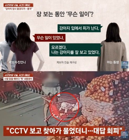[서울=뉴시스] 지인에게 맡긴 강아지가 20분 동안 13차례 내던져진 사실이 CCTV에 포착됐다. (사진 출처=JTBC '사건반장' 캡처)