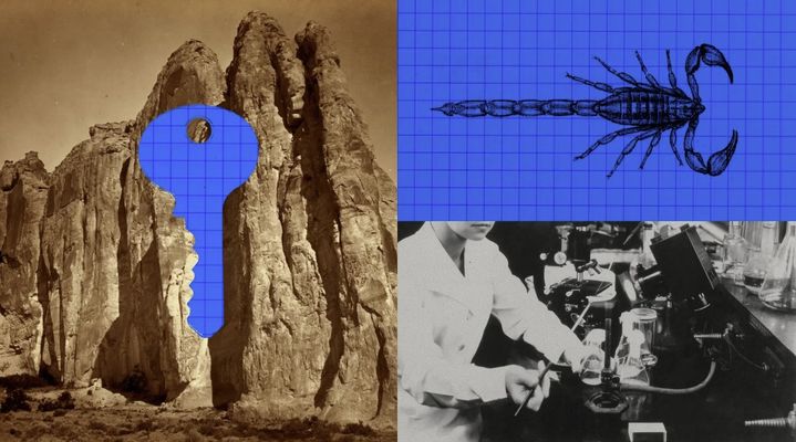 [서울=뉴시스] 앤트로픽이 20일(현지시간) 공개한 인공지능(AI) 기반 전갈 독 해독제 후보 연구 관련 사진. 앤트로픽은 AI 모델 '클로드'를 활용해 전갈 신경독에 결합하는 단백질을 설계했다. (사진=앤트로픽 블로그) *재판매 및 DB 금지