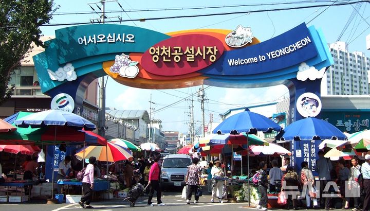 [영천=뉴시스] 