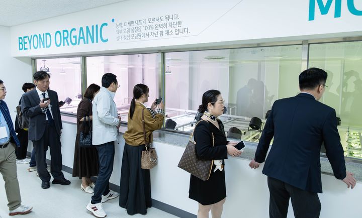 19일 충남 공주시 애터미 계열사 ‘오롯 스마트팜’에서 중국·홍콩 기자단이 작물 재배시설을 둘러보고 있다. (사진=애터미) *재판매 및 DB 금지