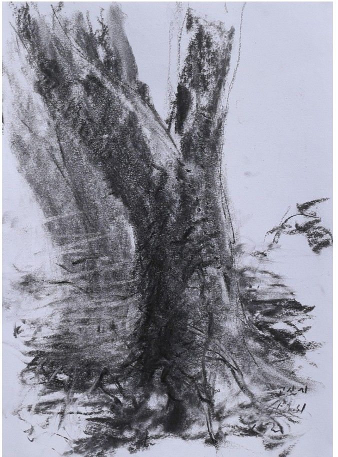 고살리 숲 260331, 2026, 종이에 목탄, 39 × 27 cm *재판매 및 DB 금지