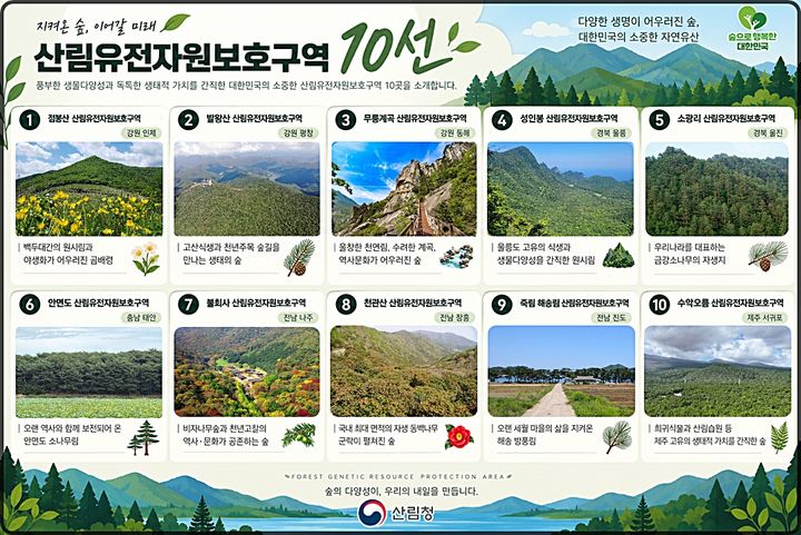 [대전=뉴시스] 국민과 전문가가 뽑은 '산림유전자원보호구역 10선'. (사진=산림청 제공) 2026.10.23. photo@newsis.com *재판매 및 DB 금지