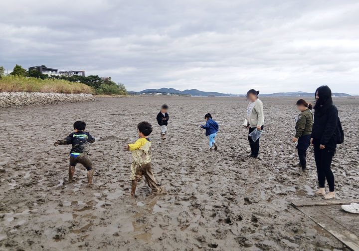[서울=뉴시스] 강서구 드림스타트 '가족 자연체험 나들이' 참가자들이 갯벌 체험을 하고 있다. (사진=강서구 제공) 2026.10.23. photo@newsis.com *재판매 및 DB 금지
