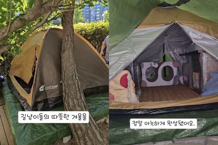 [서울=뉴시스] 아파트 주민들이 겨울을 앞두고 길고양이들이 따뜻하게 지낼 수 있도록 겨울집을 만들고 방석을 마련했다. (사진출처=스레드 'rinderella_' 캡처) *재판매 및 DB 금지