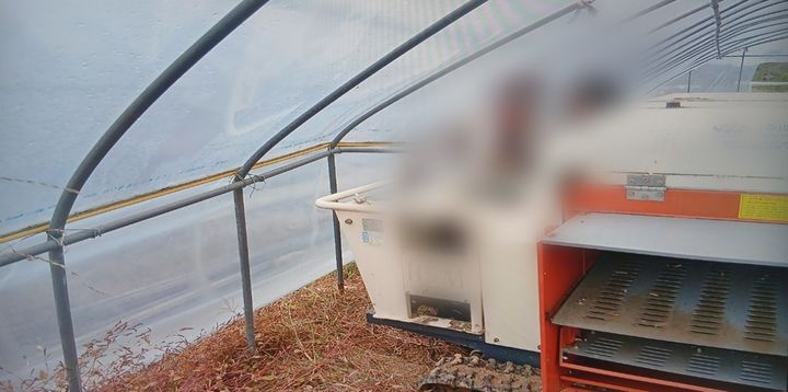 진안서 비닐하우스-콩 탈곡기 사이에 70대 근로자 끼여 숨져