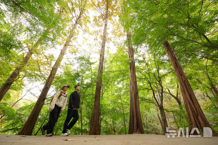 [서울=뉴시스] 황준선 기자 = 완연한 가을 날씨를 보인 25일 오전 서울 서초구 청계산을 찾은 시민들이 등산을 하고 있다. 2026.10.25. hwang@newsis.com