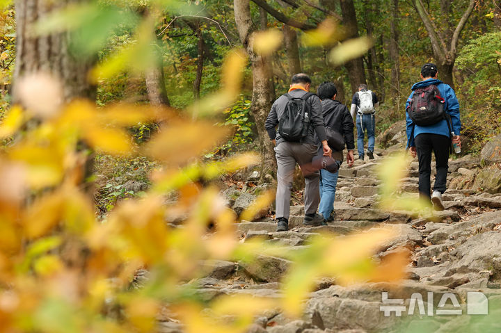 전북 오전까지 짙은 안개…낮 17~20도 '대기질 나쁨'