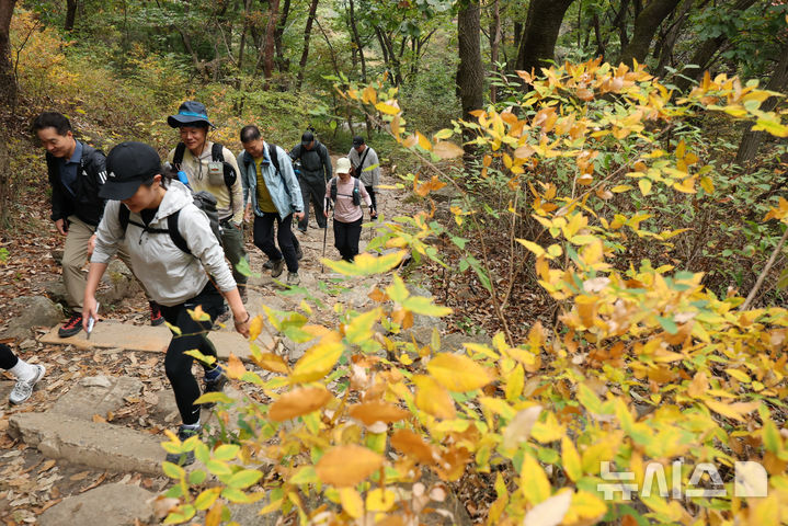 [서울=뉴시스] 황준선 기자 = 완연한 가을 날씨를 보인 25일 오전 서울 서초구 청계산을 찾은 시민들이 등산을 하고 있다. 2026.10.25. hwang@newsis.com