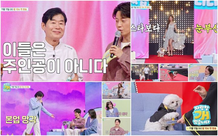 [서울=뉴시스]예능 프로그램 '자랑할 개'(사진=TV CHOSUN 제공) 2026.10.26. photo@newsis.com *재판매 및 DB 금지