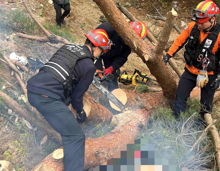 [횡성=뉴시스] 평창군 대관령면 유천리 선바위골 벌목사고 현장. (사진=강원특별자치도 소방본부 제공) 2026.10.26. photo@newsis.com *재판매 및 DB 금지