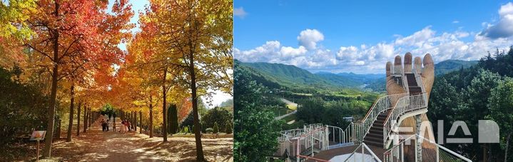 [창원=뉴시스]경남 진주시 경상남도수목원(왼쪽)과 거창군 빼재 산림레포츠시설.(사진=경남도 제공) 2026.10.26.photo@newsis.com