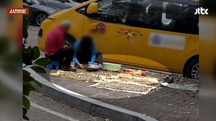 [서울=뉴시스] 아파트 주차장에 도토리를 널어 말리는 노부부의 모습이 포착돼 논란이 일고 있다. (사진=JTBC 사건반장 캡처)