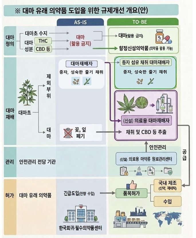 [서울=뉴시스] 27일 의료계 등에 따르면 환자의 치료기회 확대 및 필수의약품 안정적 공급체계 구축 등 칸나비디올(CBD) 성분 의약품의 허가 등 안전관리를 위한 개선 방안 마련이 필요하다. (사진=식품의약품안전처 제공) 2026.10.27. photo@newsis.com *재판매 및 DB 금지