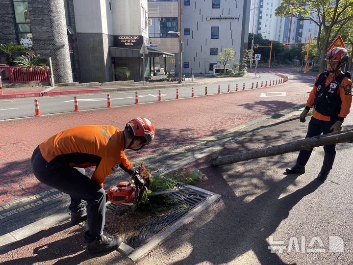 [제주=뉴시스] 강풍주의보가 내려진 27일 오전 서귀포시 강정동에서 강풍에 나무가 쓰러져 소방당국이 안전조치를 하고 있다. (사진=제주소방안전본부 제공) 2026.10.27. photo@newsis.com