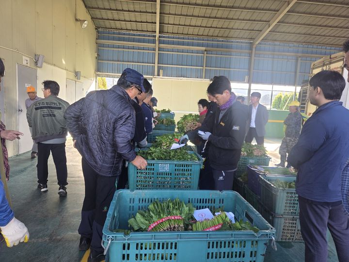 [고성(경남)=뉴시스] 신정철 기자= 경남 고성군의 대표적인 겨울철 소득작목인 시금치가 27일, 고성농협 공판장에서 본격적인 출하를 알렸다.사진은 kg당 평균단가 4400원에 경매된 고성농협 공판장에 출하된 시금치 경매 모습.(사진=고성군 제공).2026.10.27. photo@newsis.com *재판매 및 DB 금지