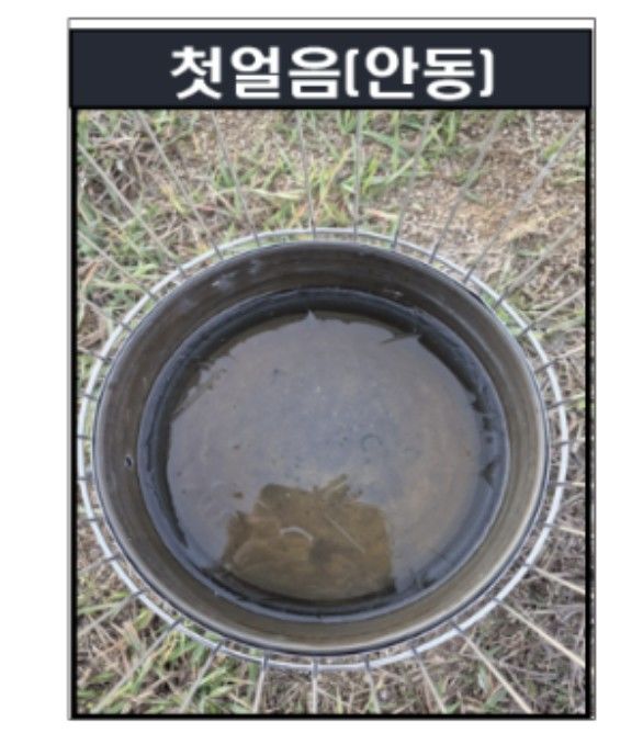 [대구=뉴시스] 안동 첫얼음 관측. (사진=대구지방기상청 제공) 2026.10.28. photo@newsis.com *재판매 및 DB 금지