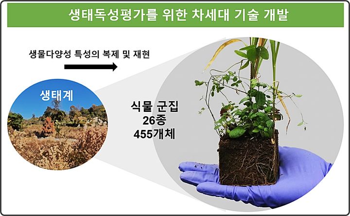 [대전=뉴시스] KIT가 실제 자연환경에서 채취한 토양 속 식물 종자를 활용해 26종, 455개체로 구성된 식물군집을 실험실에 재현하고 화학물질이 생물다양성과 식물 간 관계에 미치는 영향을 종합적으로 평가하는 기술을 개발했다.(사진=KIT 제공) *재판매 및 DB 금지