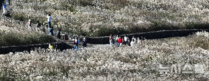 [제주=뉴시스] 우장호 기자 = 청명한 가을 날씨를 보인 28일 오전 제주시 조천읍 산굼부리에서 관광객들이 만발한 억새꽃을 감상하며 즐거운 시간을 보내고 있다. 2026.10.28. woo1223@newsis.com