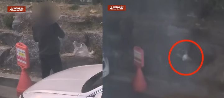 [서울=뉴시스] 서울 송파구에서 한 택시기사가 길가에 차를 세우고 도시락을 먹은 뒤 쓰레기를 조경석 사이에 버리고 떠났다는 제보가 알려져 비판받고 있다. (사진출처=JTBC '사건반장' 캡처) *재판매 및 DB 금지