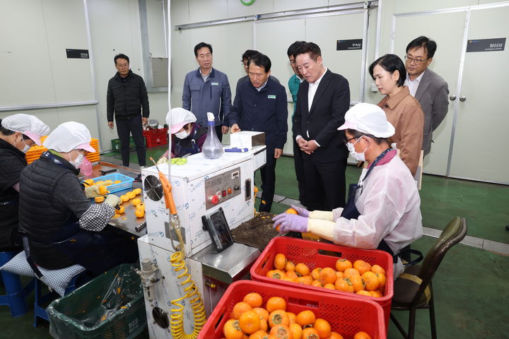 청도군, 청도반시 소과 수매·저장사업 추진 (사진=청도군 제공) *재판매 및 DB 금지