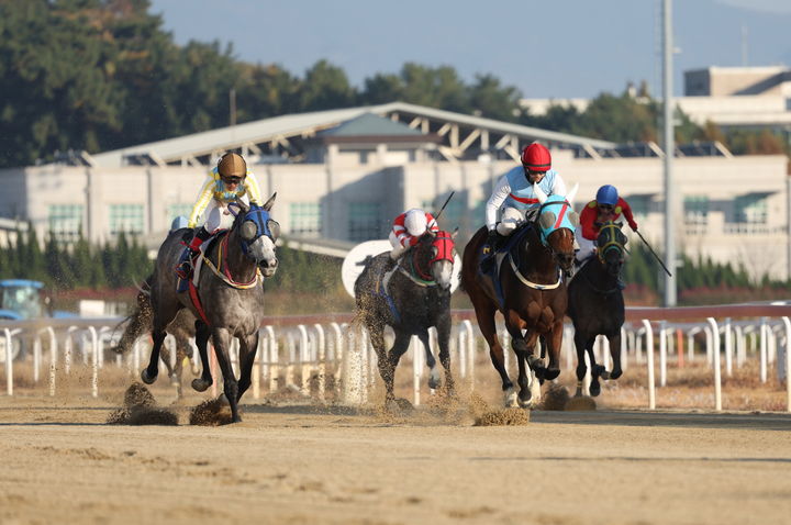 [부산=뉴시스] 2025년 브리더스컵 퀸 경주 장면. (사진=한국마사회 렛츠런파크 부산경남 제공) 2026.10.29 photo@newsis.com *재판매 및 DB 금지