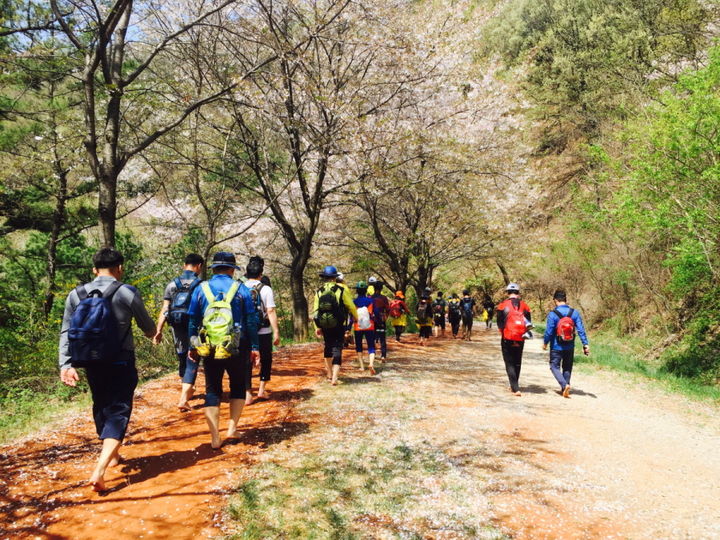[대전=뉴시스] 계족산황톳길서 맨발걷기를 즐기는 시민들.(사진=선양소주 제공) *재판매 및 DB 금지