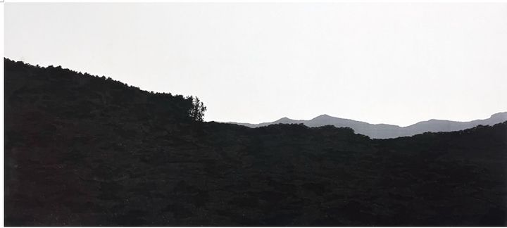 <Black Forest> 2026, 비단에 수묵 Ink on Silk, 90x200 cm *재판매 및 DB 금지