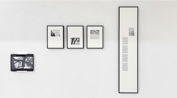 <Der Wegweiser>연작, 2026, 하네뮬레에 아카이벌 피그먼트 프린트, 28x20cm / 107x23cm *재판매 및 DB 금지