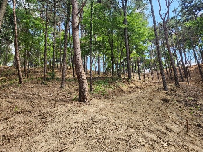 [양산=뉴시스] 안지율 기자 = 산불예방 숲가꾸기 2차 사업을 본격 추진한다. (사진= 양산시 제공) 2026.10.29. photo@newsis.com *재판매 및 DB 금지