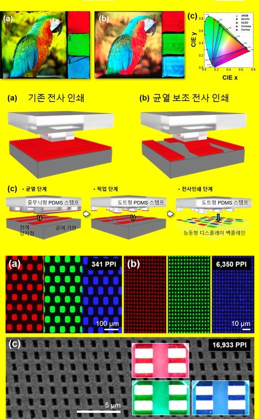 균열 보조 전사 인쇄(CATP) 기술의 공정 원리 및 초고해상도 QD 픽셀 구현 결과. (사진=인천대 제공) 2026.10.29. photo@newsis.com *재판매 및 DB 금지