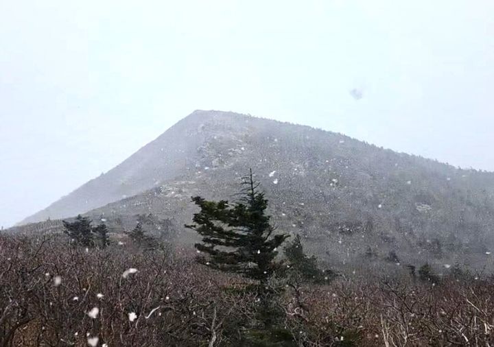[속초=뉴시스] 29일 오전 설악산 국립공원 대청∼중청 고지대에 첫눈이 내리고 있다. (사진=설악산 국립공원 제공) 2026.10.29. photo@newsis.com *재판매 및 DB 금지
