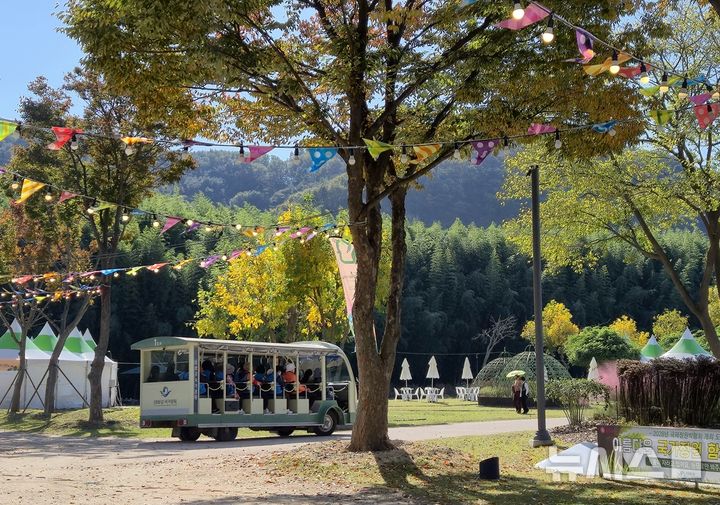 [울산=뉴시스] 구미현 기자 = 31일 오전 울산태화강국가정원을 찾은 관람객들이 전기관람차를 타고 정원을 둘러보고 있다. 2026.10.31. gorgeouskoo@newsis.com