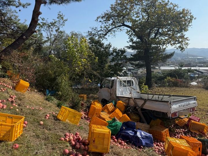 [제천=뉴시스] 30일 낮 12시47분께 충북 제천시 봉양읍의 한 과수원에서 1t 화물차가 사과나무를 들이받은 현장. 이 사고로 조수석에 타고 있던 40대 베트남 국적 작업자가 숨졌다. (사진=제천소방서 제공) 2026.10.31. photo@newsis.com *재판매 및 DB 금지