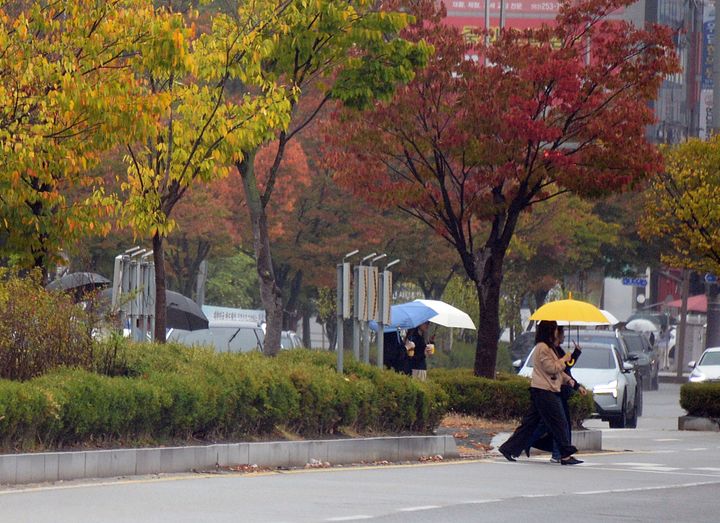 휴일 전북 낮부터 5~20㎜ 비…낮 기온 뚝 '쌀쌀'
